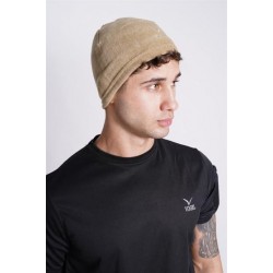 Vogel Polar Bere Bej Vogel Polar Bere Bej